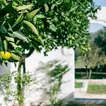 Dimora Antonella - 4 Seasons - Splendid Depandance With Private Swimming Pool