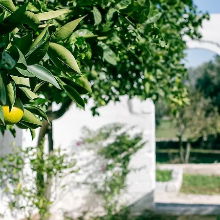 Dimora Antonella -